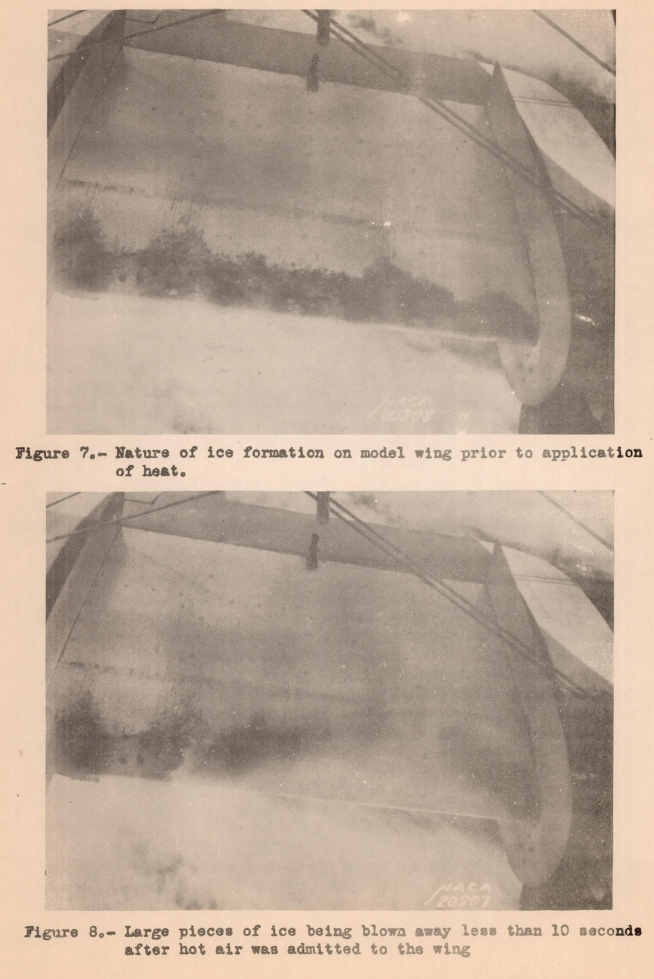 Figure 7. Nature of ice formation on model wing prior to application of heat. Figure 8. Large piece of ice being blown away less than 10 seconds after hot air was admitted to the wing.